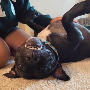 Meet your Posher, Leslie